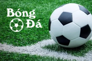 Bóng Trong Cuộc Và Bóng Ngoài Cuộc Theo Luật Bóng Đá Quốc Tế