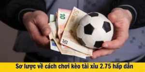 Cách Chơi Kèo 2.75 Đạt Hiệu Quả Tối Đa Cho Người Am Hiểu
