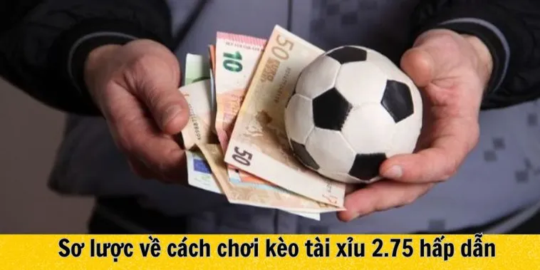 Cách Chơi Kèo 2.75 Đạt Hiệu Quả Tối Đa Cho Người Am Hiểu