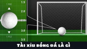 Cách Chơi Kèo Tài Xỉu Bóng Đá Chuẩn Xác Nhất