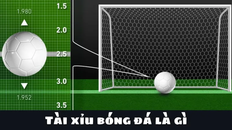 Cách Chơi Kèo Tài Xỉu Bóng Đá Chuẩn Xác Nhất