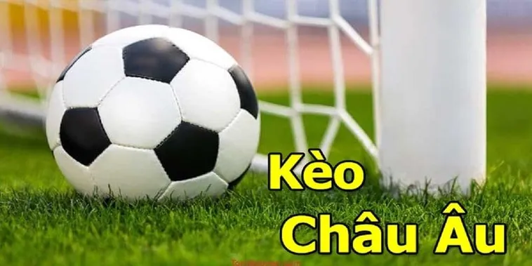 Cách Chơi Kèo Châu Âu Chuẩn Xác Cho Người Mới Bắt Đầu