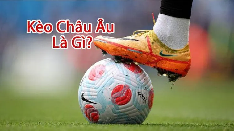 Cách Chơi Kèo Châu Âu Chuẩn Xác Cho Người Mới Bắt Đầu
