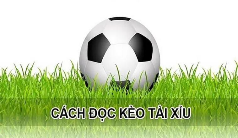 Bí Mật Chiến Thắng Kèo Tài Xỉu Hiệp 1 Từ Chuyên Gia Hàng Đầu